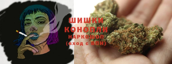 ГАЛЛЮЦИНОГЕННЫЕ ГРИБЫ Краснослободск