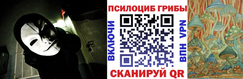Купить  Донской  Псилоцибиновые грибы прущие грибы 